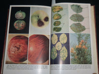 1953 PLANT DISEASES YEARBOOK OF AGRICULTURE HARDCOVER BOOK - KD 6657