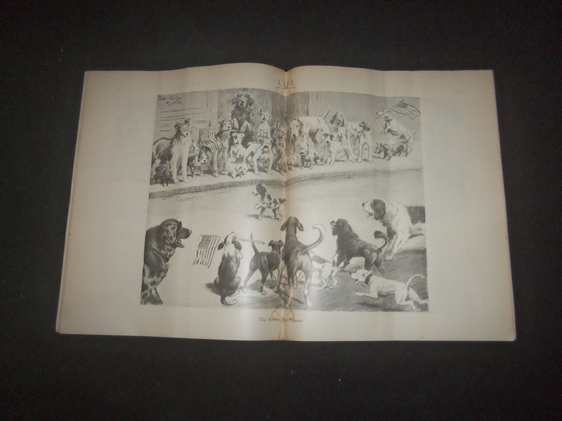 1919 MAY 15 LIFE MAGAZINE - VETERANS' NUMBER - THE VETERAN - L 769C