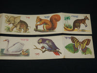 1950'S ANIMAL STRIP CARDS IN HEBREW LOT OF 2 - 10 ANIMALS - J 7010
