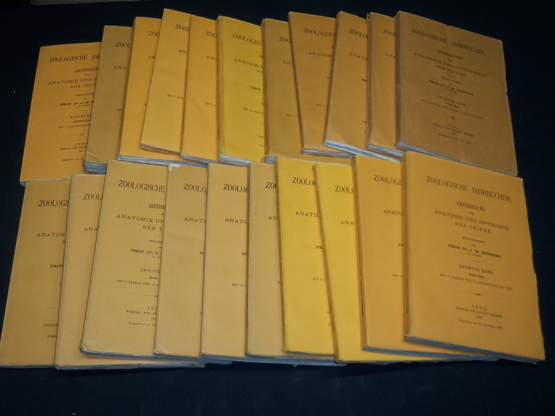 1894-1904 ZOOLOGISCHE JAHRBUCHER FUR ANATOMIE UND ONTOGENIE LOT OF 39 - WR 1112