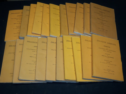 1894-1904 ZOOLOGISCHE JAHRBUCHER FUR ANATOMIE UND ONTOGENIE LOT OF 39 - WR 1112