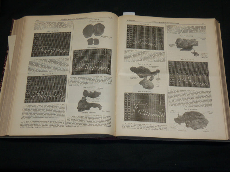 1902 JAN-DEC BERLINER KLINISCHE WOCHENSCHRIFT MAGAZINE BOUND VOLUME - R 491