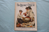 1919 AUGUST 9 THE LITERARY DIGEST MAGAZINE - THE PICNIC COVER - E 26619