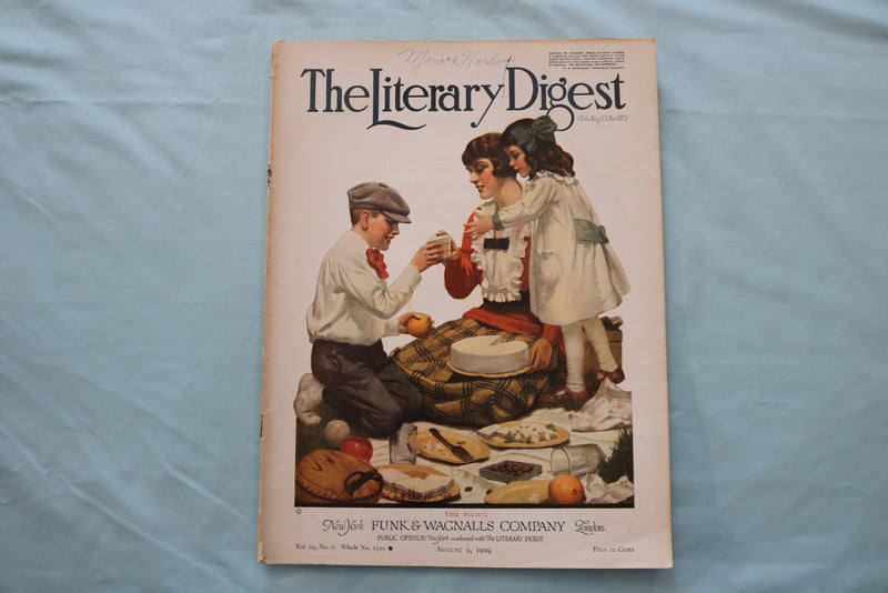 1919 AUGUST 9 THE LITERARY DIGEST MAGAZINE - THE PICNIC COVER - E 26619