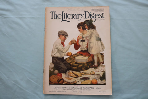 1919 AUGUST 9 THE LITERARY DIGEST MAGAZINE - THE PICNIC COVER - E 26619