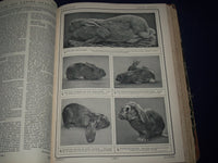 1907 LA VIE A LA CAMPAGNE FRENCH BOUND VOLUME - GREAT PHOTOS - KD 2317