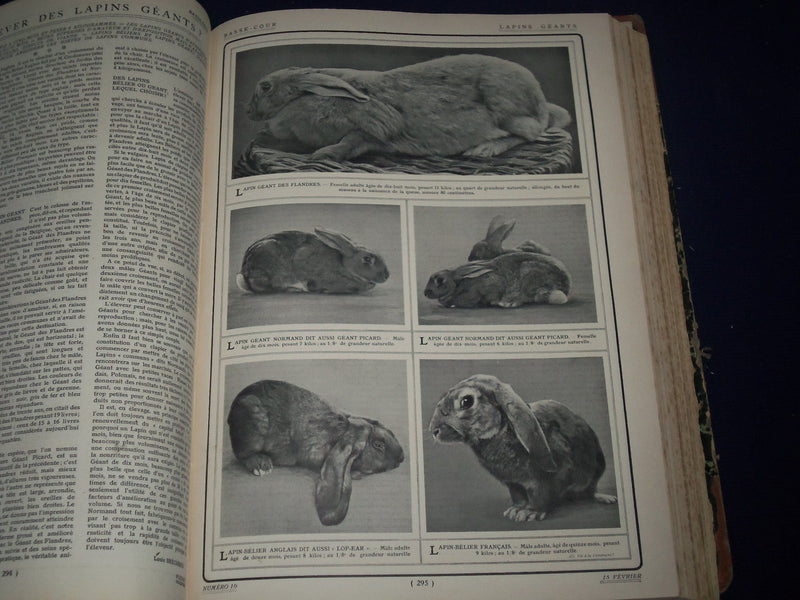 1907 LA VIE A LA CAMPAGNE FRENCH BOUND VOLUME - GREAT PHOTOS - KD 2317