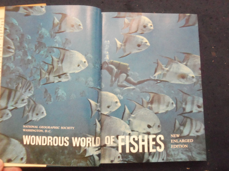 1969 WONDEROUS WORLD OF FISHES HARDCOVER BOOK -NATIONAL GEOGRAPHIC SOC.- KD 8270
