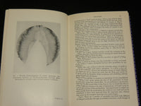 1962 CURARE AND CURARE-LIKE AGENTS BOOK EDITED BY A. V. S. DE REUCK - KD 2769I