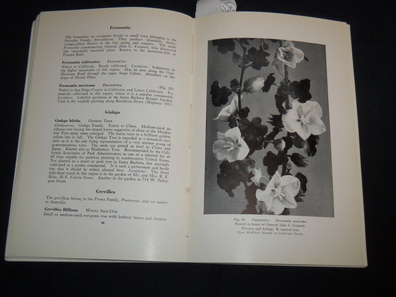 1940 TREES OF SANTA BARBARA DESCRIBED AND LOCATED BOOK BY RENSSELAER - J 8747