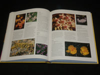 2003 WHAT FLOWER IS THAT? HARDCOVER BOOK BY STIRLING MACOBOY - R 723A