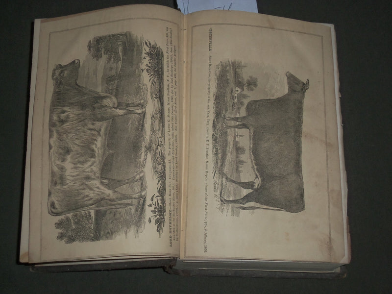 1851 NEW YORK STATE AGRICULTURAL SOCIETY PROCEEDINGS VOLUME NO. 11 - KD 4549