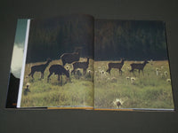 1972 YELLOWSTONE A CENTURY OF THE WILDERNESS IDEA BOOK BY ANN & MYRON - I 1364