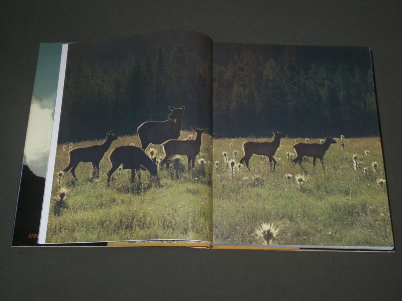1972 YELLOWSTONE A CENTURY OF THE WILDERNESS IDEA BOOK BY ANN & MYRON - I 1364