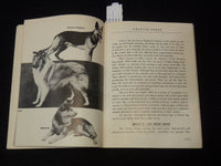 1952 PLAIN TALK ABOUT DOGS BOOK BY MRS. SHERMAN R. HOYT - K 2656