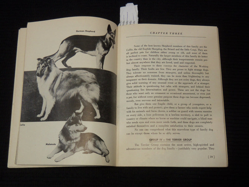 1952 PLAIN TALK ABOUT DOGS BOOK BY MRS. SHERMAN R. HOYT - K 2656