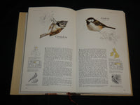 1973 BOOK OF BRITISH BIRDS HARDCOVER BOOK - NICE COLOR ILLUSTRATIONS - KD 7037