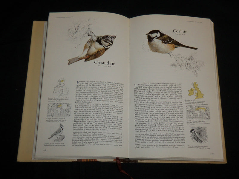 1973 BOOK OF BRITISH BIRDS HARDCOVER BOOK - NICE COLOR ILLUSTRATIONS - KD 7037