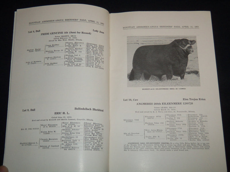 1951 EGYPTIAN ABERDEEN-ANGUS CATTLE SALE CATALOG - DU QUOIN ILLINOIS - J 9096