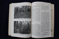 1932-1933 JOURNAL OF FORESTRY MAGAZINE - LOT OF 4 + 1931 SUPP/INDEX - O 3428