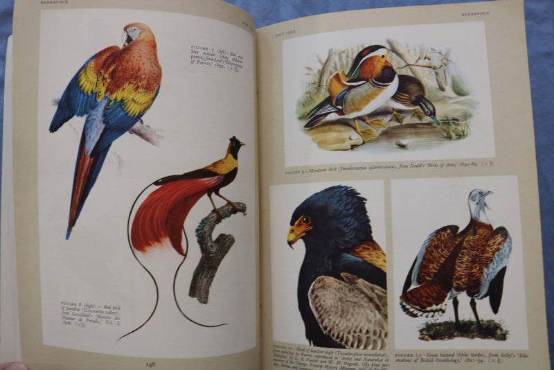 1953-1955 ENDEAVOR QUARTERLY REVIEW MAGAZINE - LOT OF 7 - O 3907