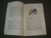 1856 MARCH & APRIL FORRESTER'S BOYS & GIRLS' MAGAZINE LOT OF 2 ISSUES - J 2712