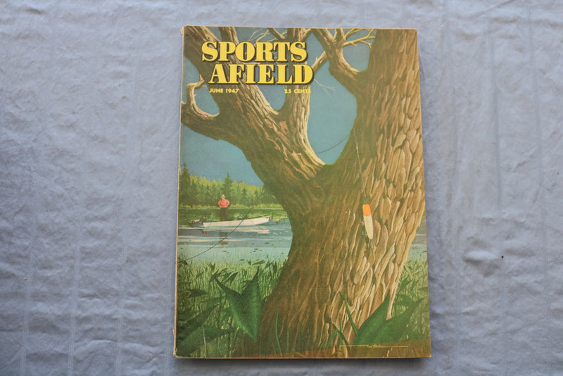 1947 JUNE SPORTS AFIELD MAGAZINE - FISHING LURE CAUGHT IN TREE COVER - SP 6174Q
