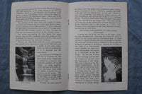 1930'S WATKINS GLEN, NY GUIDE BOOK WITH FOLD-OUT PICTORIAL MAP - K 3145