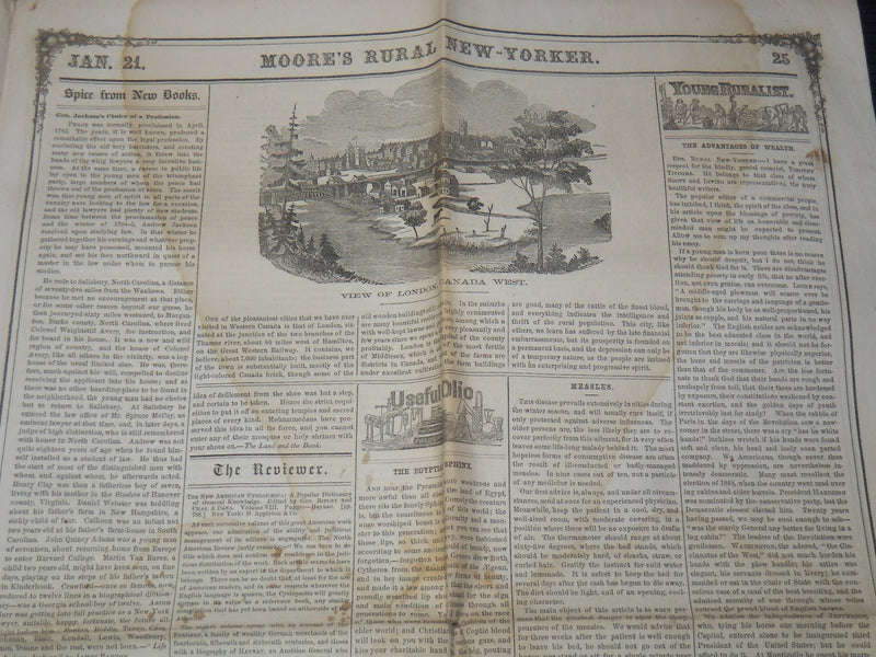1860 MOORE'S RURAL NEW YORKER NEWSPAPER LOT OF 2 ISSUES - ROCHESTER NY - NP 8964