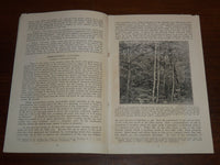 1928-1935 LUMBER BULLETINS LOT OF 2 ISSUES - GRADE MARKING - IMPROVEMENT- K 1093