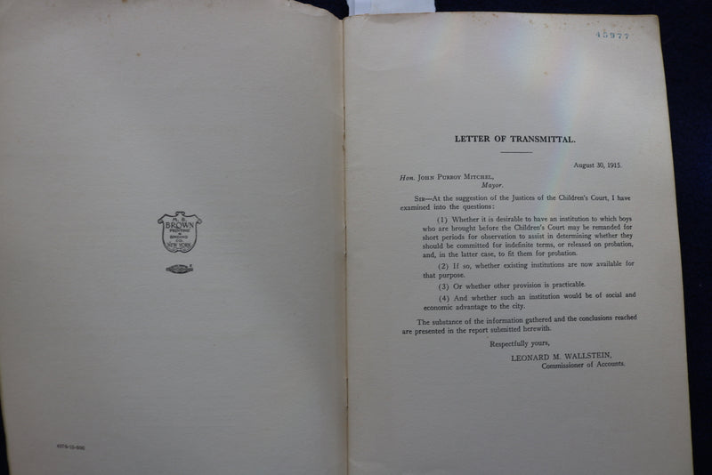 1915 JUVENILE DELINQUENTS SOFTCOVER BOOK BY LEONARD WALLSTEIN - K 862