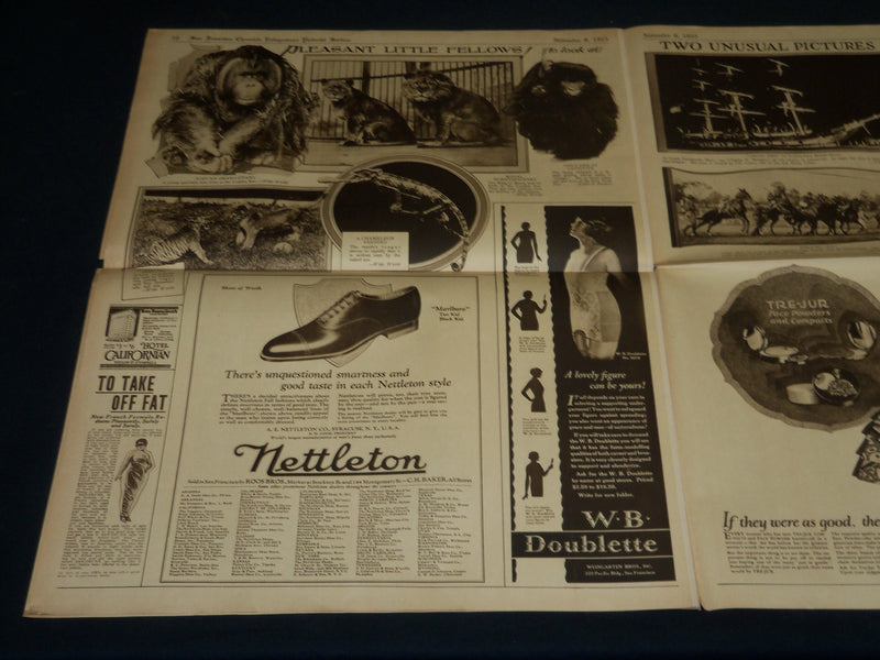 1925 NOV 8 SAN FRANCISCO CHRONICLE ROTO SECTION - PETS OF THE STARS - NP 5101
