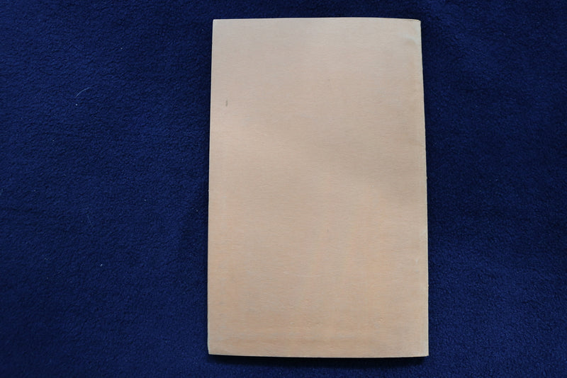 1930 PRISON ASSOCIATION OF NEW YORK ANNUAL REPORT SOFTCOVER BOOK BY - K 850