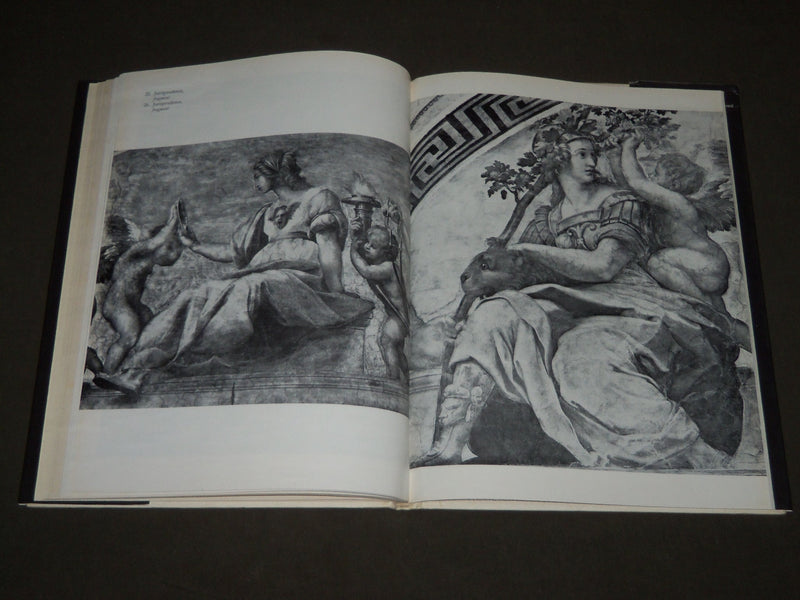 1974 RAPHAEL HARDCOVER BOOK BY VASILE FLOREA - NICE PRINTS - D 229