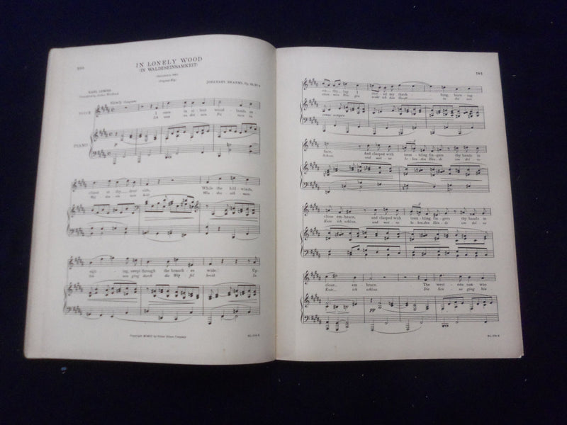 1931 FORTY SONGS JOHANNES BRAHMS SOFTCOVER BOOK EDITED BY JAMES HUNEKER- KD 8491