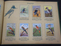 1940'S DANMARKS SERIE FRA FUGLENES VERDEN BIRDS TOBACCO CARDS ALBUM - KD 3188