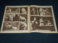 1917 OCTOBER THE ILLUSTRATED REVIEW MAGAZINE SECTION - WORLD WAR I - NP 4524