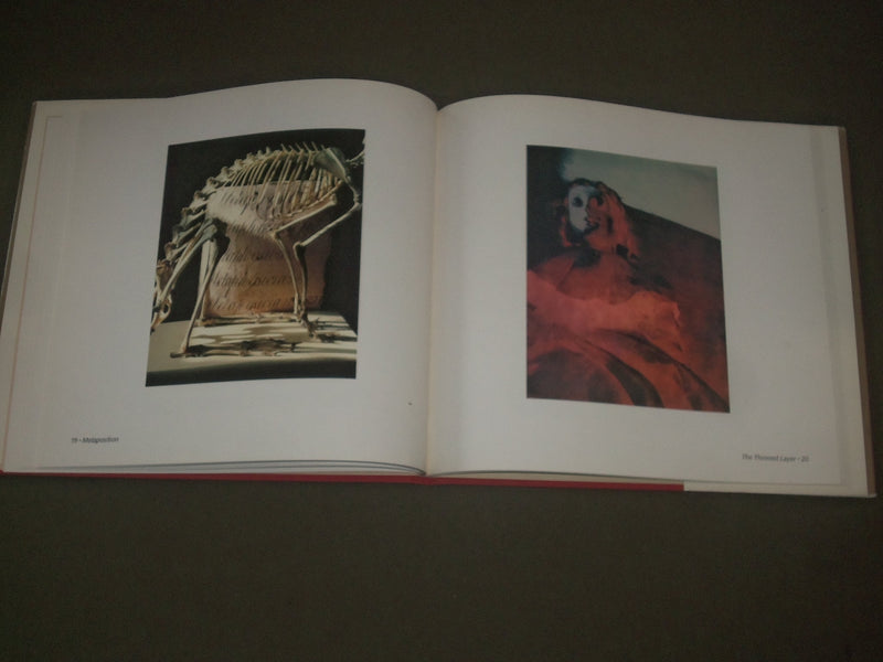 1980 HALF-LIFE BOOK BY ROSAMOND WOLFF - FIRST EDITION - GREAT PHOTOS - I 1497
