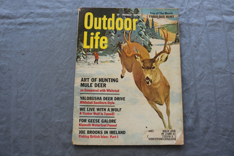 1962 NOVEMBER OUTDOOR LIFE MAGAZINE - ART OF HUNTING MULE DEER COVER - SP 6183M