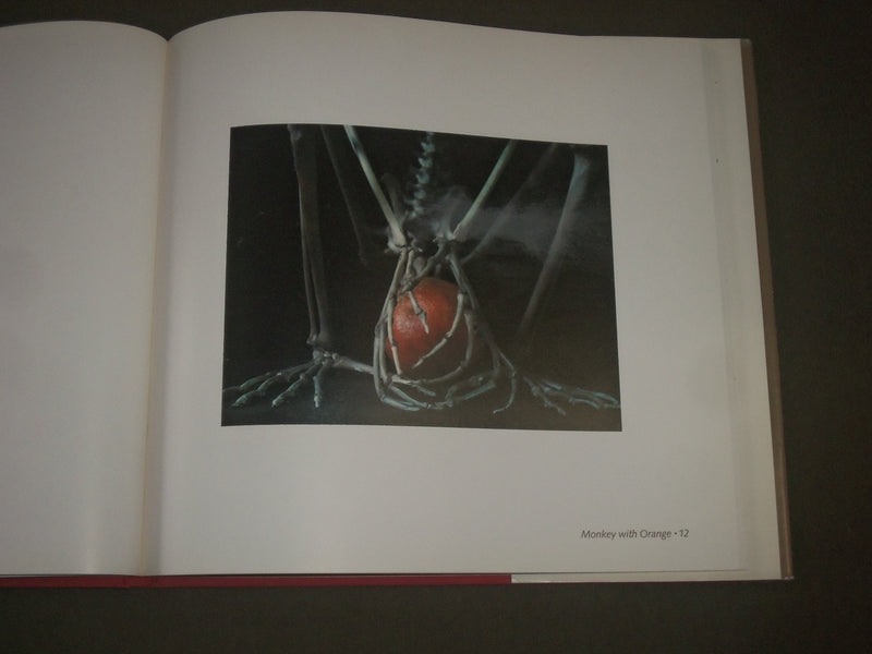 1980 HALF-LIFE BOOK BY ROSAMOND WOLFF - FIRST EDITION - GREAT PHOTOS - I 1497
