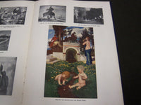 1909 BILDERATLAS ZUR KUNSTGESCHICHTE BY DR. WILHELM TESDORPF - KD 2339