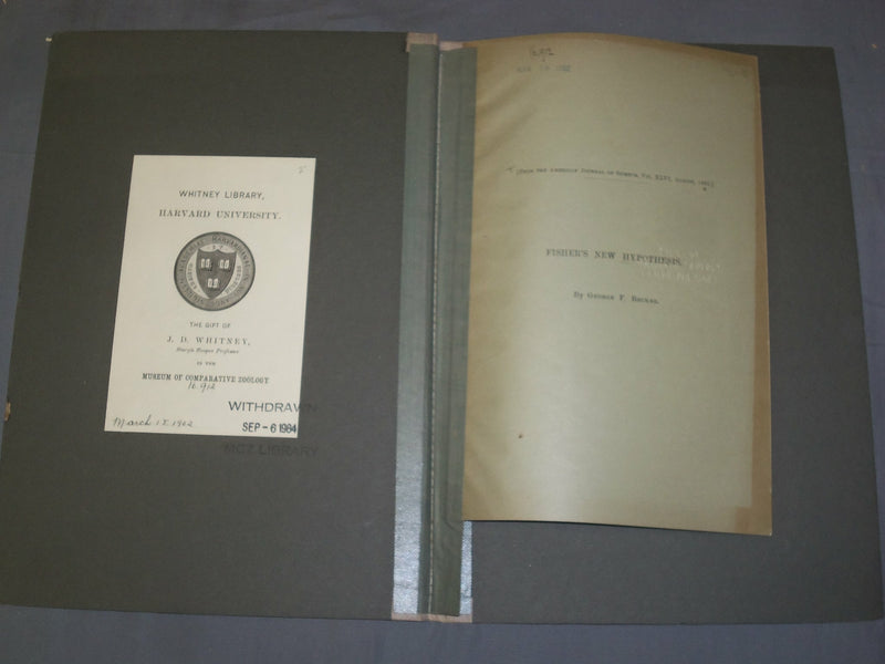1893 FISHER'S NEW NYPOTHESIS - J 4914