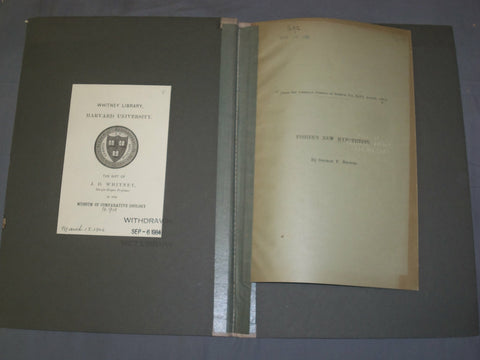 1893 FISHER'S NEW NYPOTHESIS - J 4914