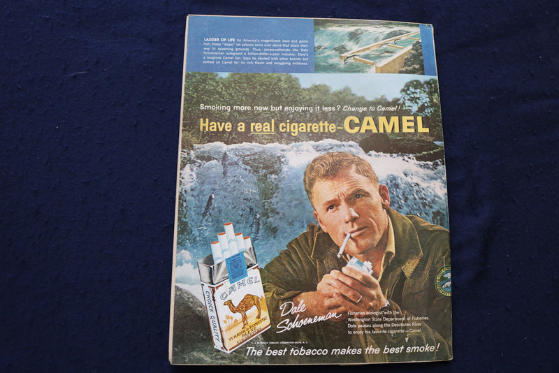 1962 JUNE OUTDOOR LIFE MAGAZINE - FISHING, HUNTING, CAMPING - E 9060