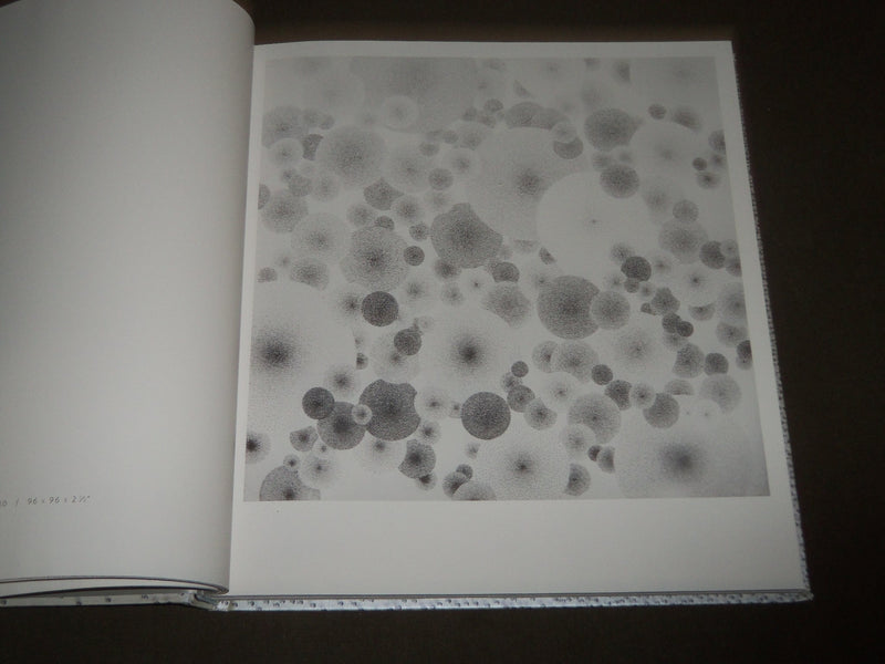 2015 TARA DONOVAN DRAWINGS PINS HARDCOVER BOOK - PACE GALLERY NEW YORK - D 177