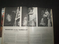 1955 NOVEMBER OUTDOOR LIFE MAGAZINE - A TIGER HAS KILLED - SP 1520X