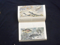1952 THE BOOK OF FISHES HARDCOVER BOOK EDITED BY JOHN LA GORCE - KD 8279