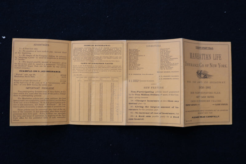 1881 MANHATTAN LIFE INSURANCE CO. OF NEW YORK REPORT - K 1976