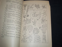 1887 JANUARY THE TRENTON NATURAL HISTORY SOCIETY JOURNAL - J 8711