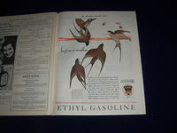 1931 AUGUST 1 THE SATURDAY EVENING POST MAGAZINE - ILLUSTRATED COVER -SP 1402